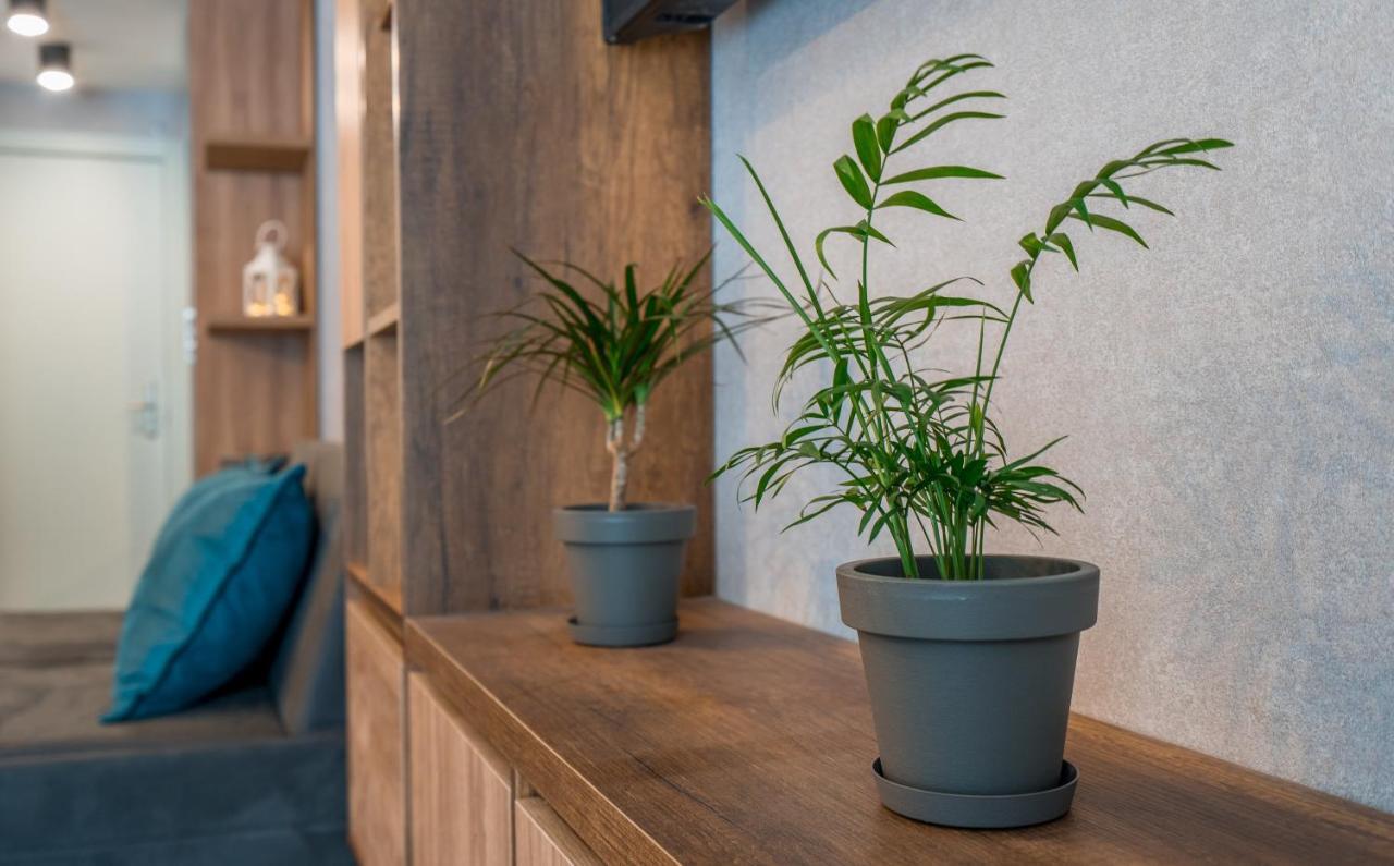 Apartment Alpine By Atrium, New Gudauri Dış mekan fotoğraf